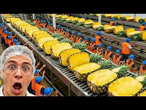 Inside Modern $100,000,000 Pineapple Factory: Whole Pineapples to Canned Golden Slices