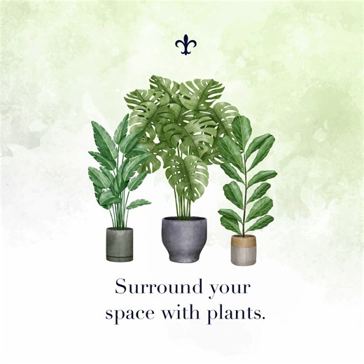 52K views · 141 reactions | This #EarthDay, celebrate *everything* green, cultivate your connection with nature, and reduce daily stress levels by embracing biophilic design. Get more tips: https://bit.ly/3ukvd6B | Stearns & Foster | Facebook