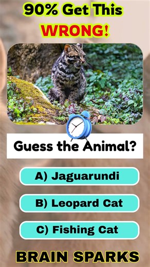 Part 39 Test Your Knowledge #quiz #question #quiztime #shorts #viral