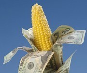 Despite the headlines, Big Ag subsidies aren't going anywhere