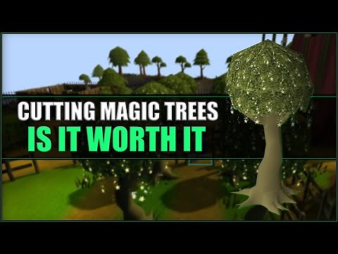 Actual XP Rates of Cutting Magic Trees in OSRS