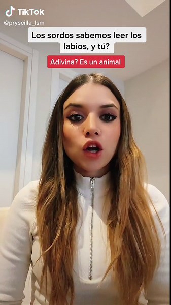 Adivinar Animales y Leer Labios: Desafío Divertido