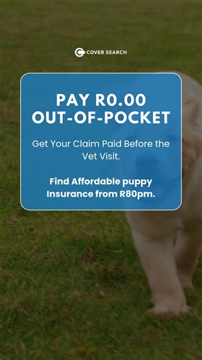 Our pet's health shouldn't depend on our bank balance, yet thousands of South African Pet Parents face this exact dilemma every single day. Emergency vet visits happen when we least expect them. A swallowed toy, a sudden illness, an accident that occurs in seconds but costs thousands to treat. Most Pet Parents believe they have two choices: pay crushing vet bills or watch their pets suffer. But there's a third option that smart Pet Parents have discovered. Getting connected with the right Pet In