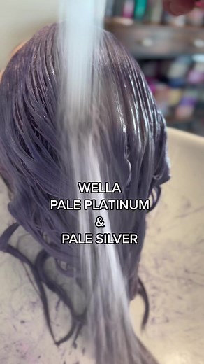 Wella Pale Platinum and Pale Silver Hair Transformation