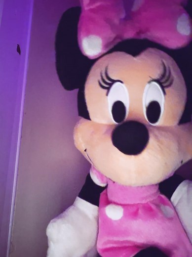 Pookie Come Back to the Clubhouse — Mickey Mouse Clubhouse Message