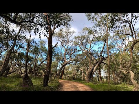 Outdoor Walk - Quiet time, observing nature, walking solo.