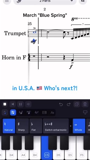 Who's next? If you play this, please dm me!! March Blue Spring #brassband #windensemble #marchingband