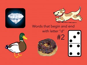 Words That Begin And End With D #2