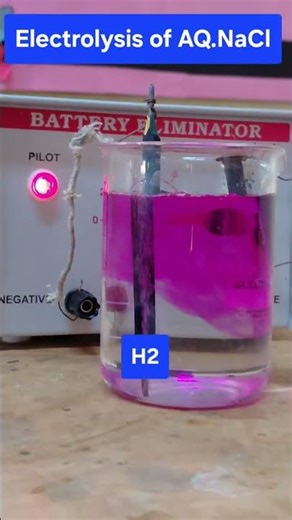 Electrolysis of Aq.NaCl // preparation of NaOH// redox