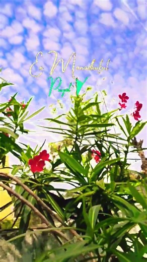 new unity video 📷🥀 subscriber followers like command 🌹