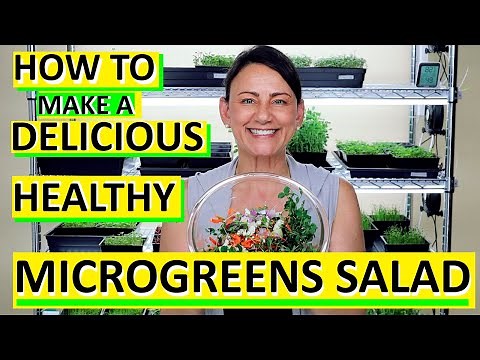 HOW TO MAKE A DELICIOUS HEALTHY MICROGREENS SALAD