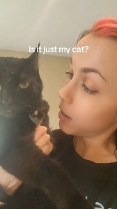 Gizmo is just so handsome 🖤 | Miss Krystle