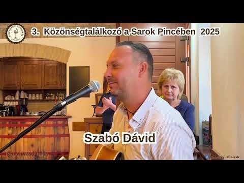 Radnóti Miklós - Bájoló - Szabó Dávid ének, gitár