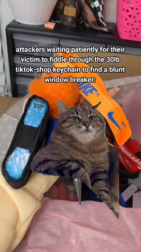 Funny Meme Reenactment of TikTok Shop Keychain Incident