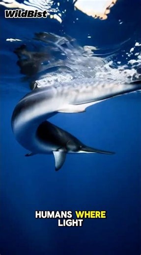 Have you ever seen a whale glide like a snake? LİKE