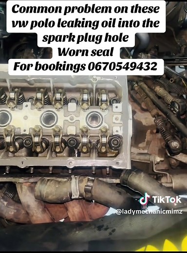 VW Polo Oil Leak Repair: Addressing Spark Plug Issues
