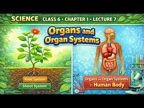 Class 6 Science | Cellular Organization Lecture 7 | Organs & Organ Systems in Plants and Humans