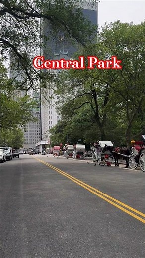 Best Central Park Tour in New York City | A Breathtaking NYC Walk 🌲 #newyork #centalpark