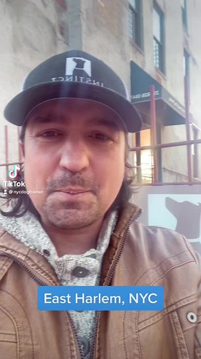 1K views | Check out some of today’s activities at Instinct East Harlem, with Instinct co-founder Brian ..#nycdogtraining #nycdogtrainer #trainingcampnotbootcamp | Instinct Dog Behavior & Training NYC | Facebook
