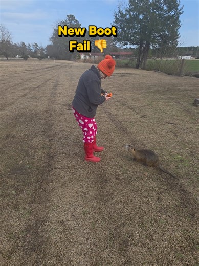 Boot Review: Stylish Yet Uncomfortable Boots