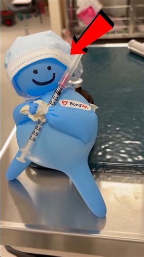 She Turned a Used Glove Into a Tiny Assistant #shortvideo