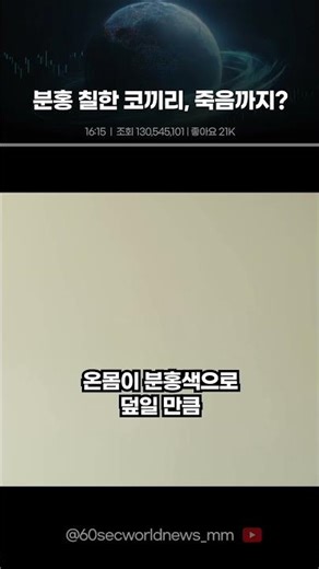 Elephant painted pink for a photo shoot dies [shivers]