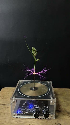 Tesla coil +Plant