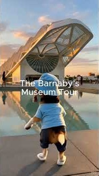 The Barnaby Takes Rio de Janeiro 🏖️ #beagle #pets #beach