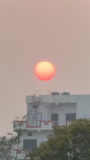 Beautiful view❤️ #sunset #shorts #ytshorts #youtubeshorts #fyp #foryou #reels #video #nature #love