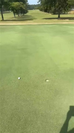 When a dog has a smoother putting stroke than you