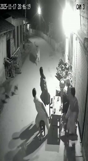 CCTV captures a tiger suddenly entering a village street and snatching a dog from a group of peop