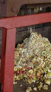 Crushing apples for cider