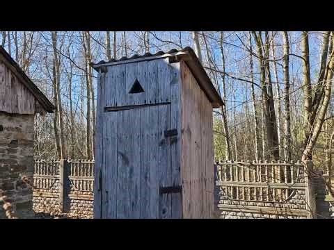 Daily vlog - 26 lutego 2026