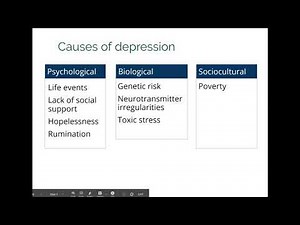 Causes of depression