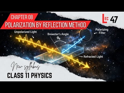 Polarization of light by Reflection Method Class 11 Physics | SEEKHO ONLINE