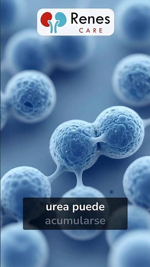 🧬 Urea y uremia