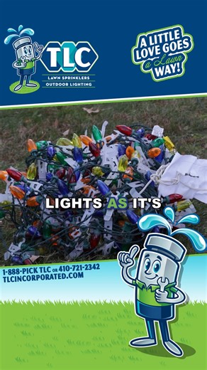 It's a TLC takeover! ️ Grayden's back and ready to spill the tea on what's new and what's next for TLC!  #TLCExclusive | TLC, Inc. | Facebook