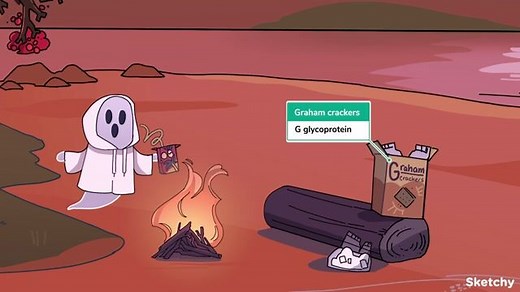 Respiratory Syncytial Virus and Human Metapneumovirus (Pnuemoviridae) - Free Sketchy Medical Lesson