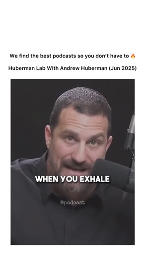@podcast | In the June 23, 2025 solo episode of Huberman Lab, Dr Andrew Huberman breaks down the vagus nerve in a way that makes you realize half of... | Instagram