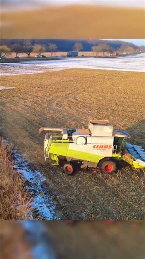 Żniwa Kukurydzy W Śniegu! MHR Henryków W Kobierzycach