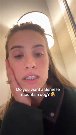 8M views · 25K reactions | Just to be clear.. we have the ice lock on 95% of the time.. he just watches like a hawk for his chance  #bernesemountaindog #dogsofinstagram | Franklin the Berner | Facebook