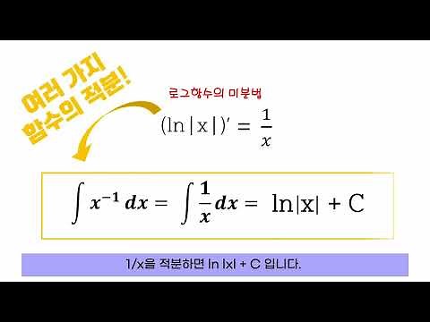 의약학계에서의 미적분 활용