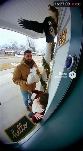 Unexpected Crow Attack Caught on Doorbell Camera 😲”