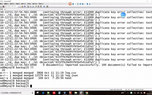 MONGODB-导入命令-实战.mp4