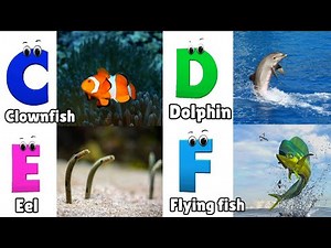 ABC Song | Sea Animals ABC Song | Phonics for Kids, Learn ABC, Baby Alphabet Letters