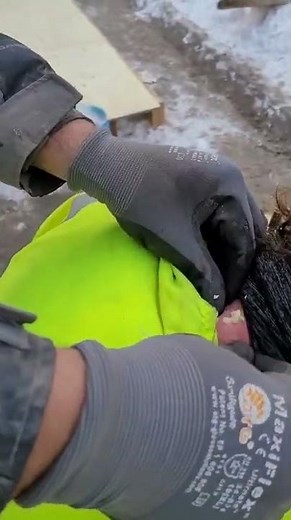 Giant pimple explodes #shorts