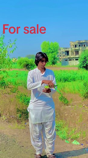 Venta de productos de gaming de calidad