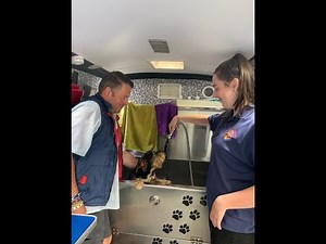 3 Basics Needed to make a profitable mobile dog grooming business