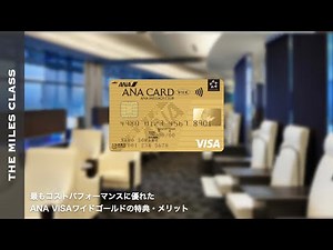 ANA VISAワイドゴールドの特典・メリット