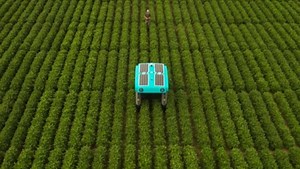 Alphabet’in Mineral adlı moonshot projesi, sürdürülebilir tarım için robotlardan faydalanacak